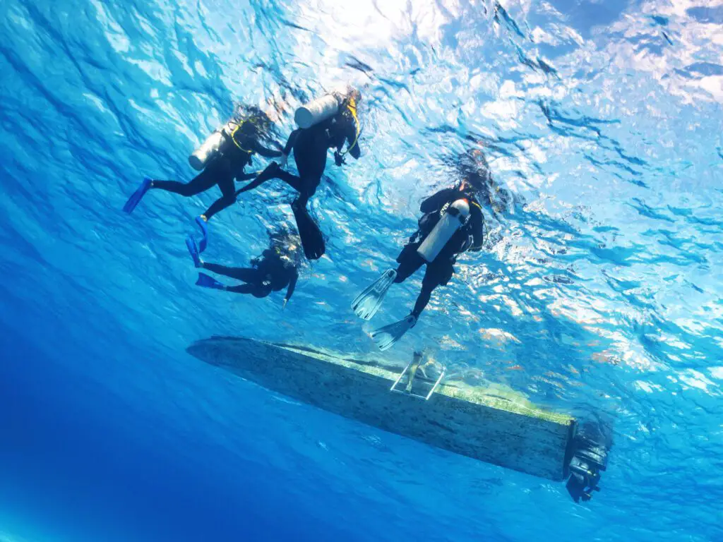 Dive Buddies Underwater - Photo by Malek Bee on Unsplash