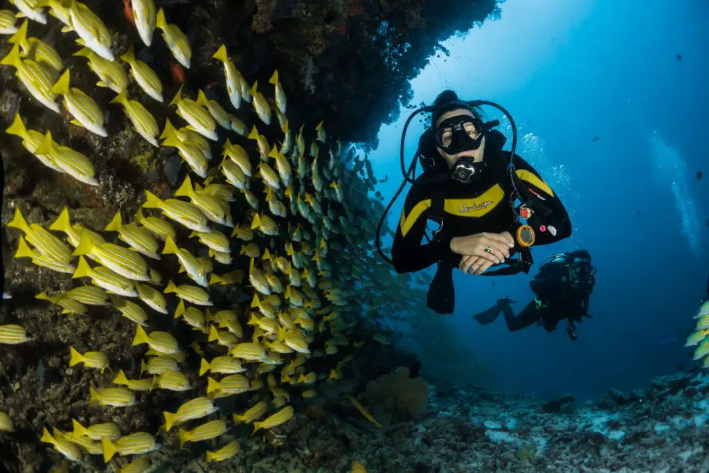 Scuba diver - Photo by Sebastian Pena Lambarri at Unsplash
