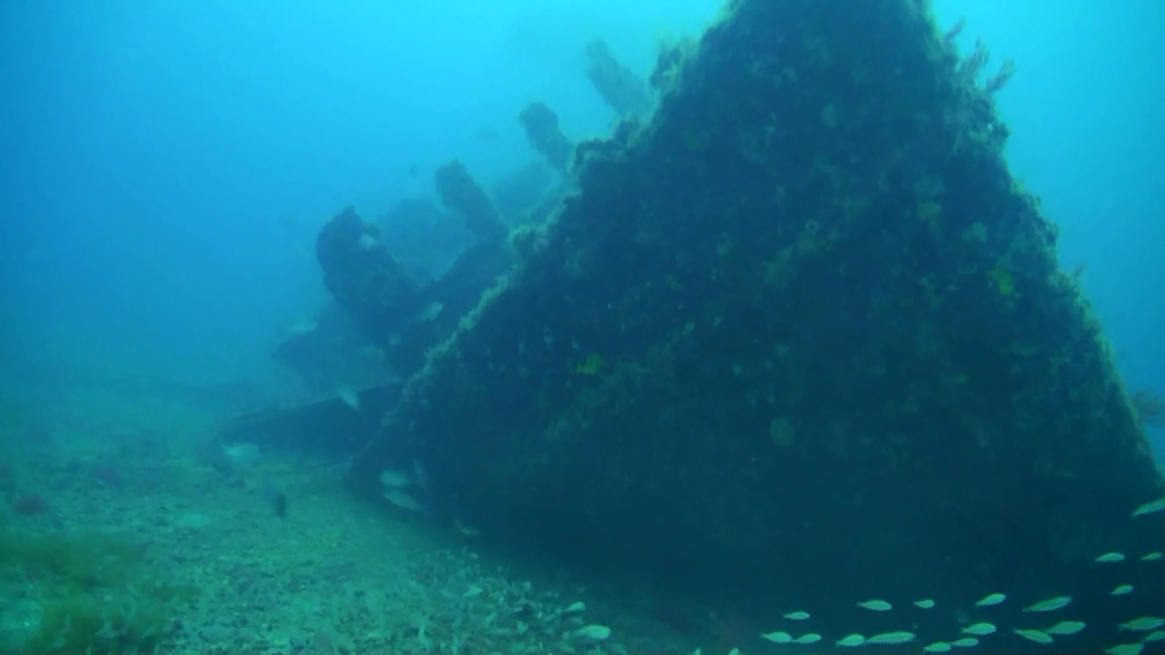 Artificial reef - Photo by FWC Fish and Wildlife Research Institute at flikr
