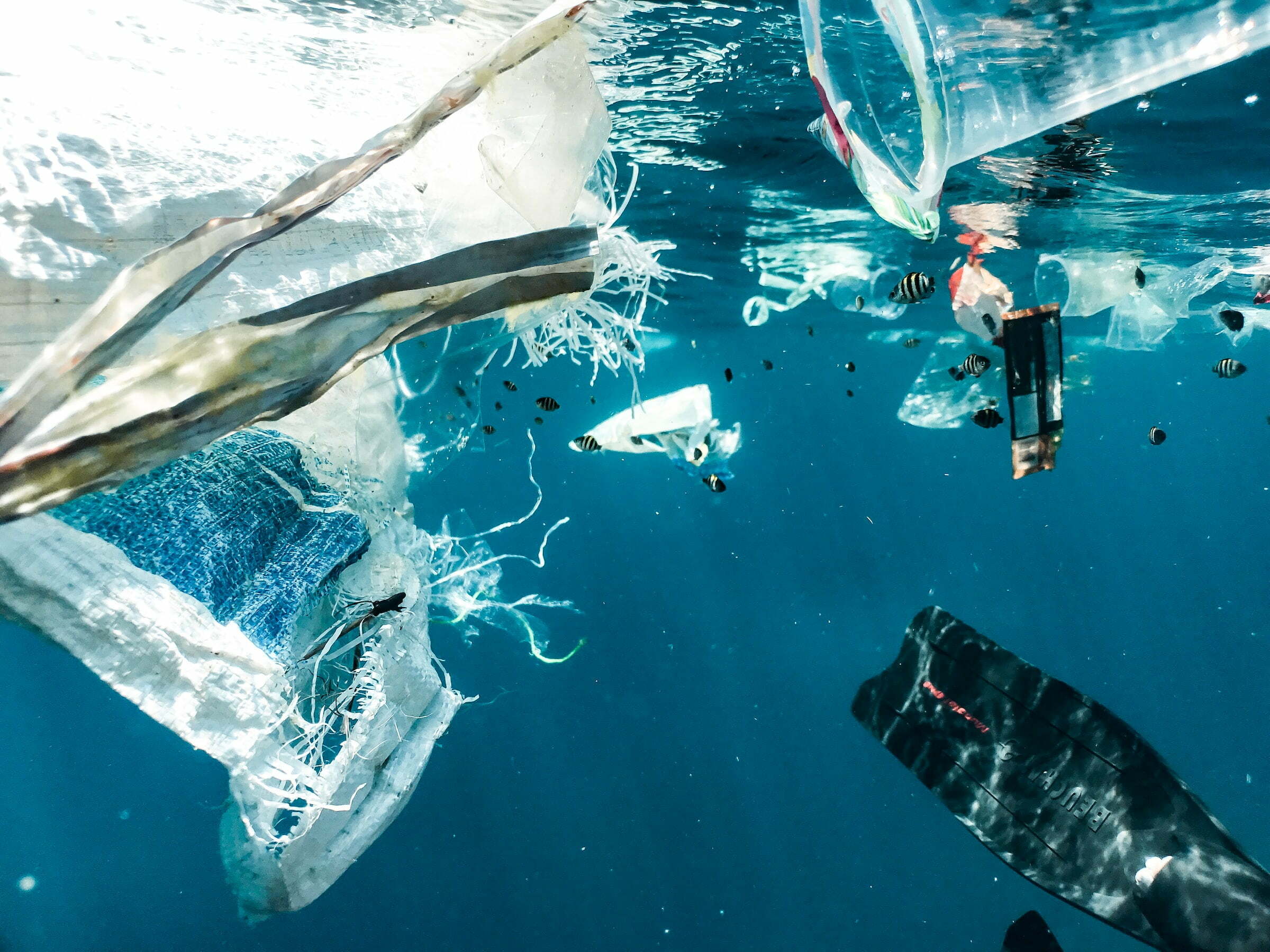 Plastic pollution - Photo by Naja Bertolt Jensen at Unsplash