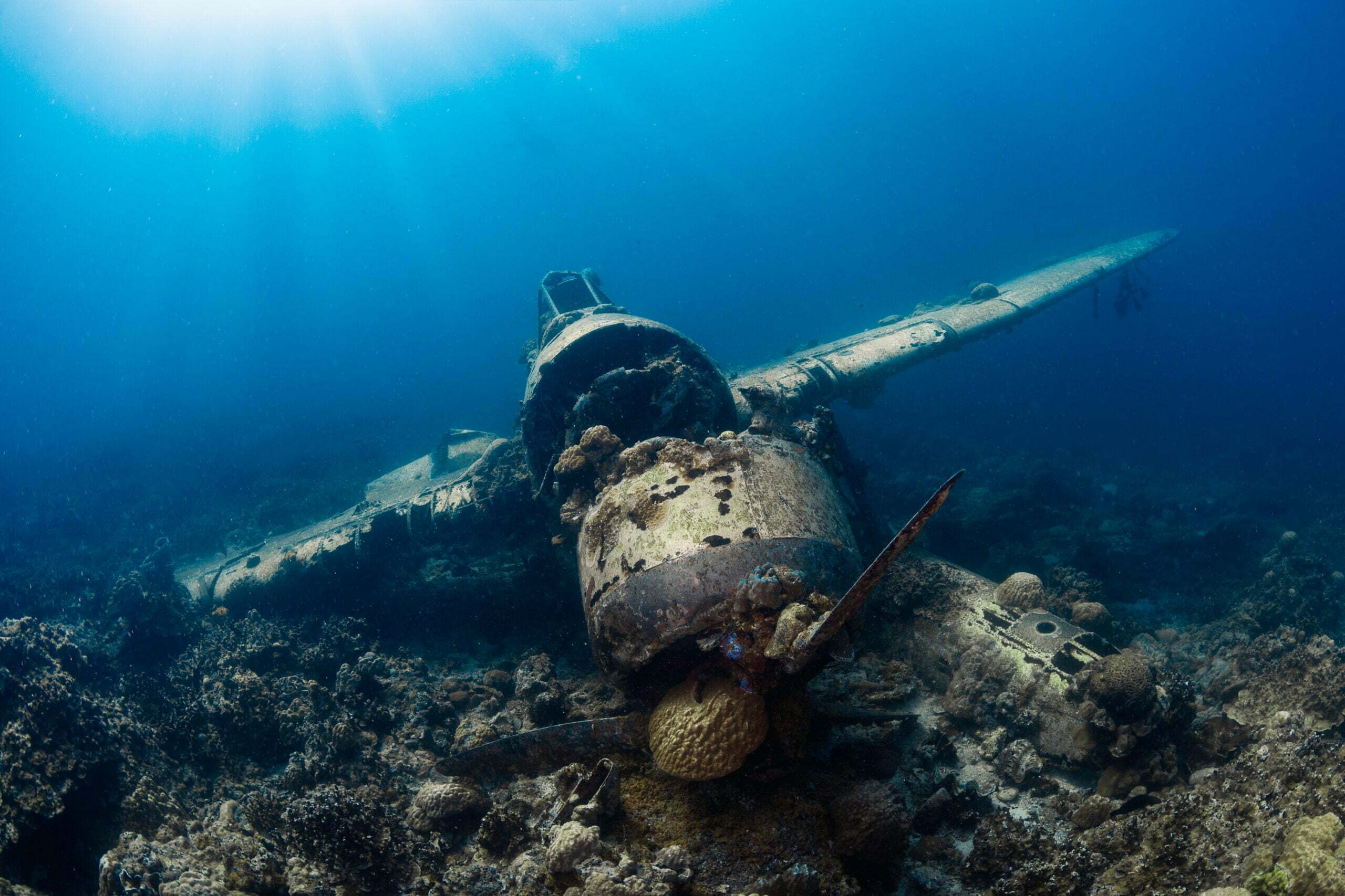 The eerie remains of Jake Sea Plane, a WWII relic resting peacefully in Palau's turquoise waters. - Photo by Milos Prelevic at Unsplash