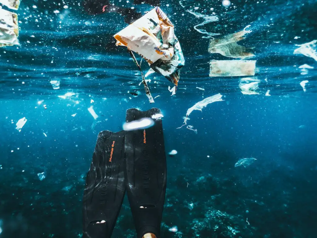 Swimming amongst plastic waste in Indonesia. - Photo by Naja Bertolt Jensen at Unsplash
