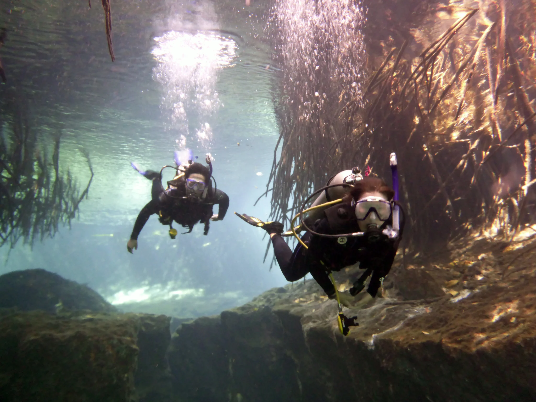 "Cenote dive - Photo by Steve Renaker at Flickr"