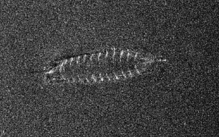 Sonar image from an AUV showing the wooden frame of a clinker-built mediaeval vessel - Photo by Live Scienece at FFI / NTNU
