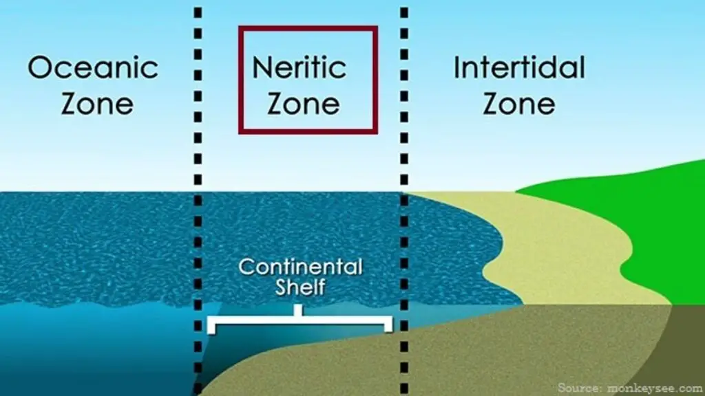 Neritic Zone of the Ocean By Jagran Josh