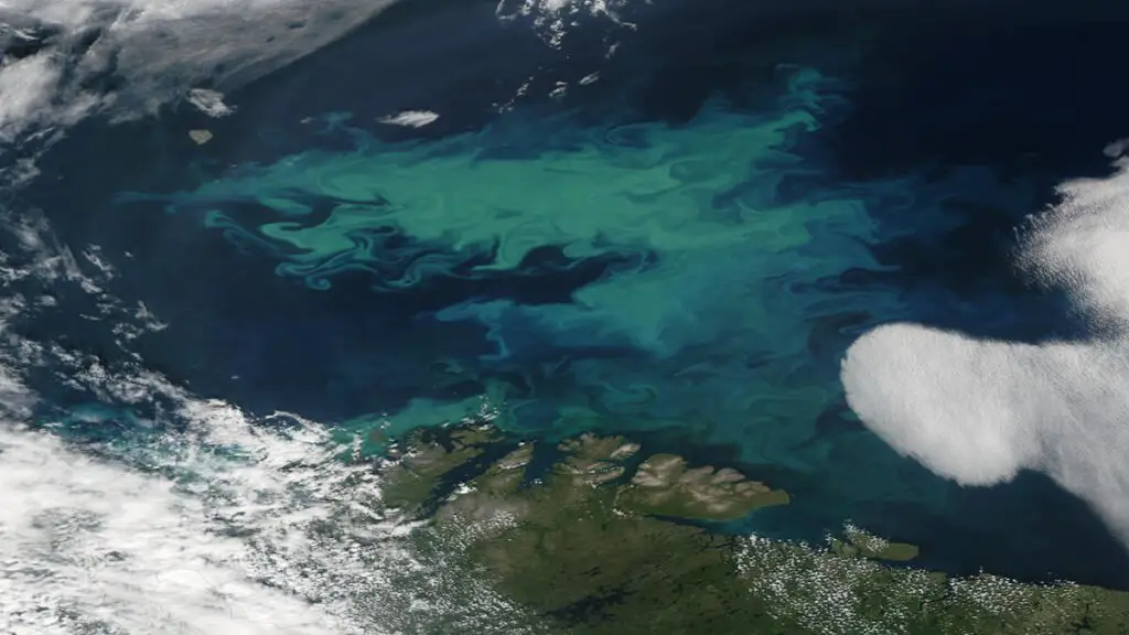 Phytoplankton form swirls of green in the Barents Sea north of Norway. The Moderate Resolution Imaging Spectroradiometer (MODIS) on NASA’s Aqua satellite acquired this image on July 27, 2004. NASA image courtesy Jeff Schmaltz, MODIS Land Rapid Response Team at NASA GSFC