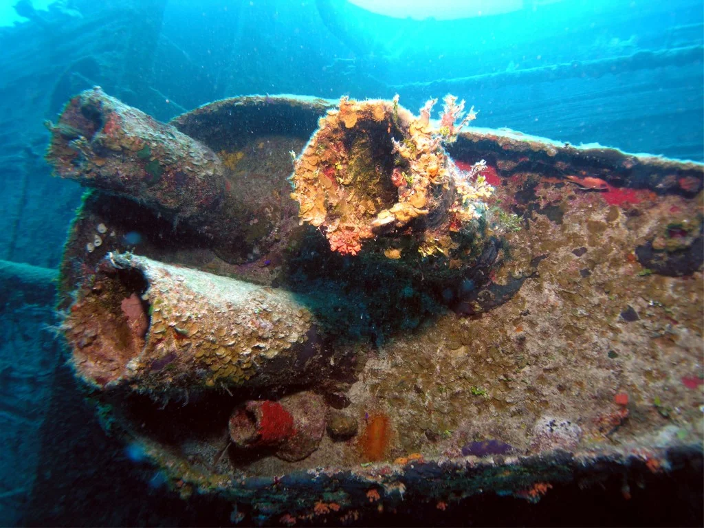 Theo's Wreck (Grand Bahama Island) - Photo by Scuba Diver Life at Scuba Diver Life
