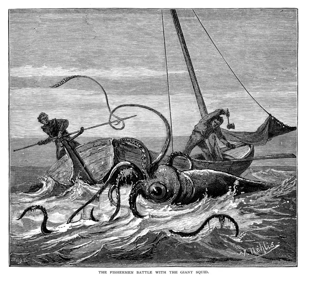 Fishermen battle with the giant squid - scanned 1881 engraving - Photo by Istock at Istok
