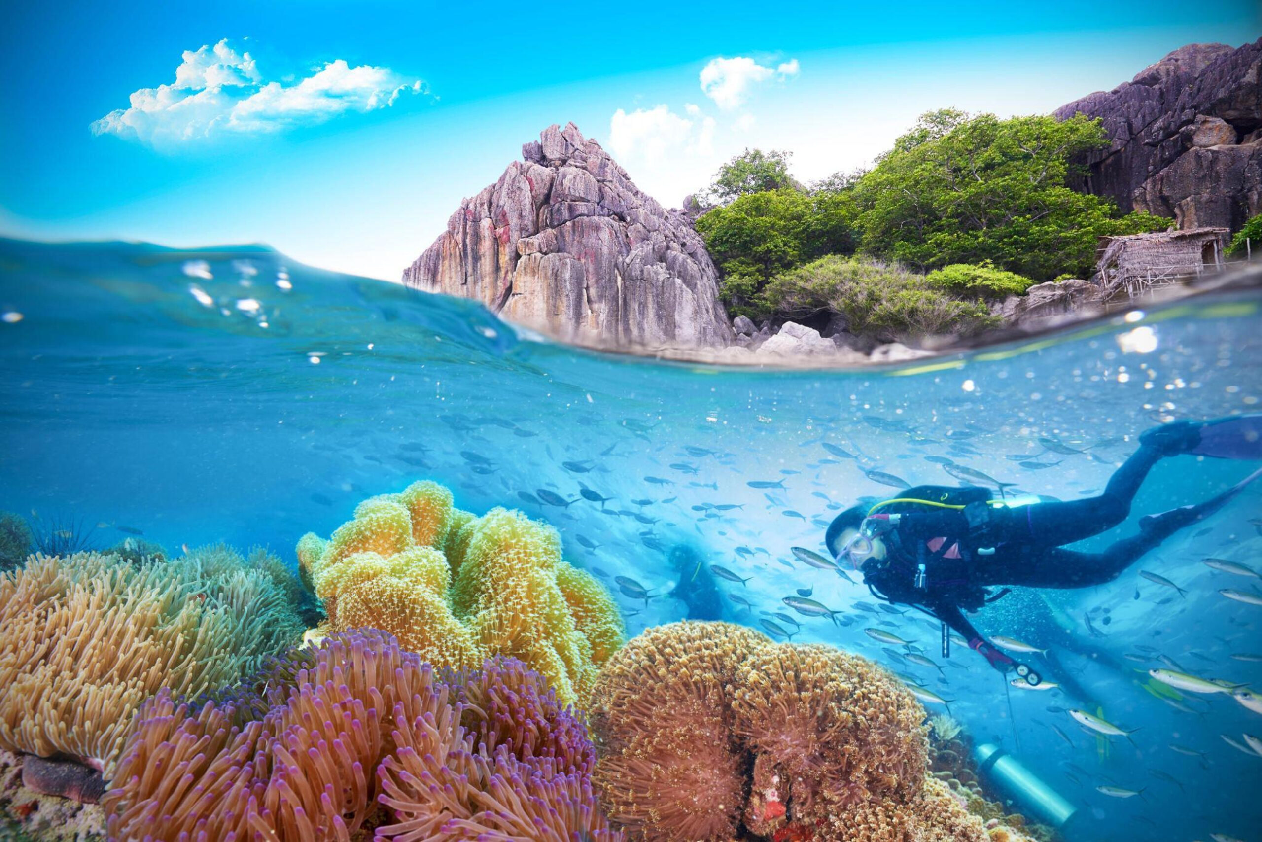 Scuba Diving in Thailand - Photo by Istock at Istock