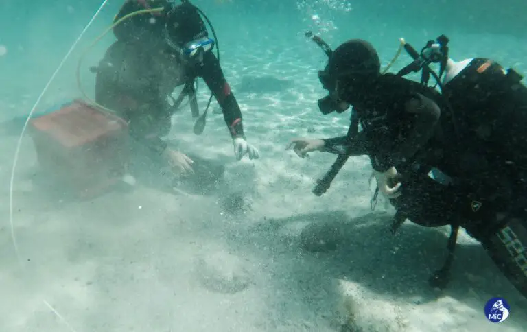 Divers investigate the site (Ministry of Culture)