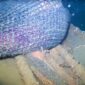 Net on the myystery wreck (Black Sea Divers Sports Club / IHA)
