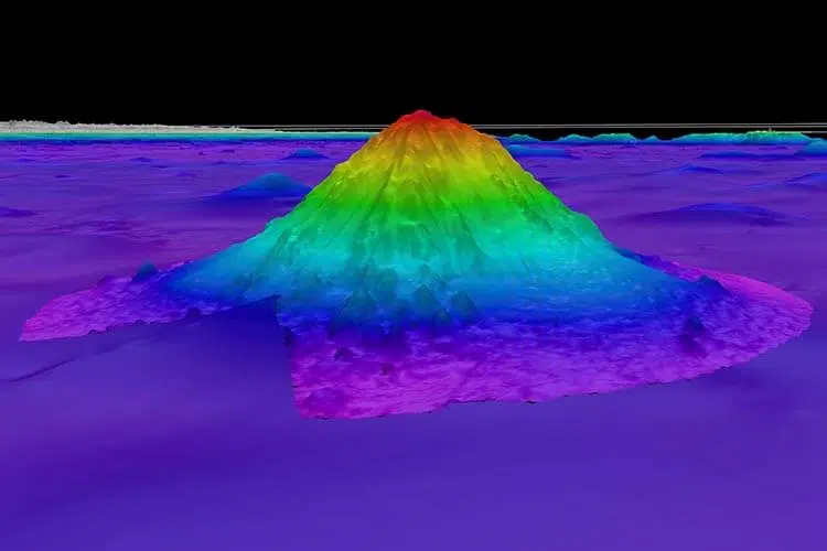 A bathymetric map of the newly discovered Solito Seamount (Photo:Credit: Schmidt Ocean Institute)