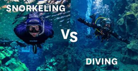 snorkeling vs scuba diving photo by arcteic adventures